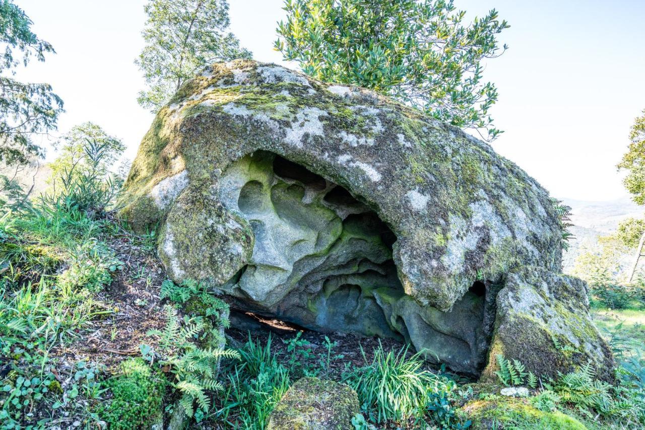 Quinta Das Lamas - Antiga Adega Vouzela Dış mekan fotoğraf